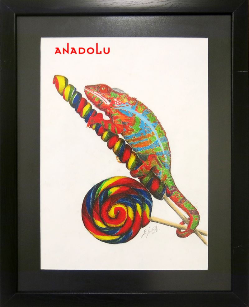 Bukalemun Çizimleri Diyarbakır