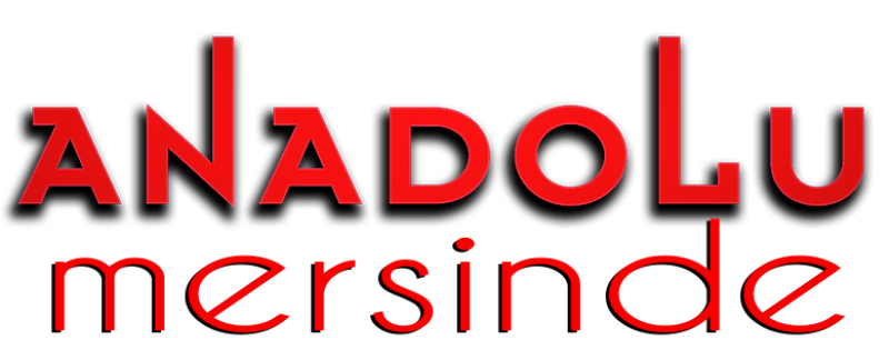 Anadolu Güzel Sanat Eğitim Kurumları Mersin Şubesi