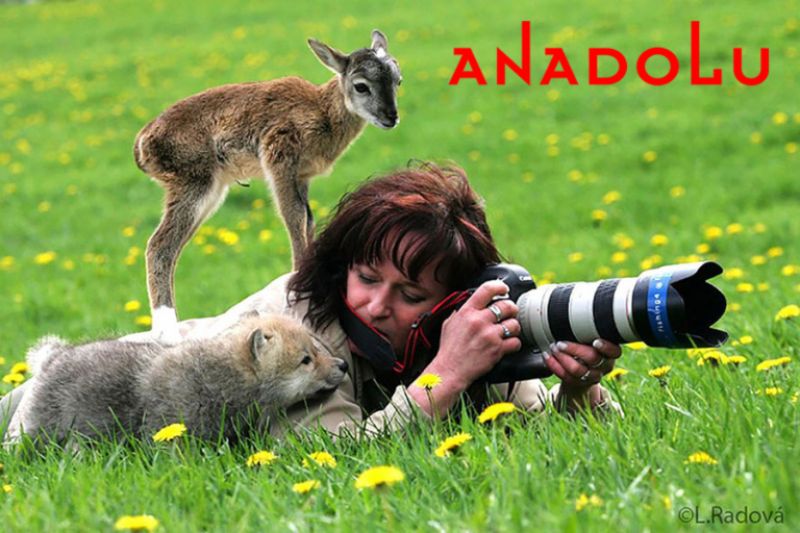 Diyarbakır Doğa Fotoğrafı Çekimleri