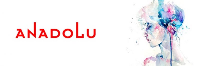 Anadolu Sanat Sulu Boya Grupları Diyarbakır